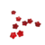 fleurs rouges
