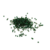 perles miyuki argentée vert foncé