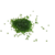 perles miyuki brillante vert
