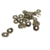 punaises