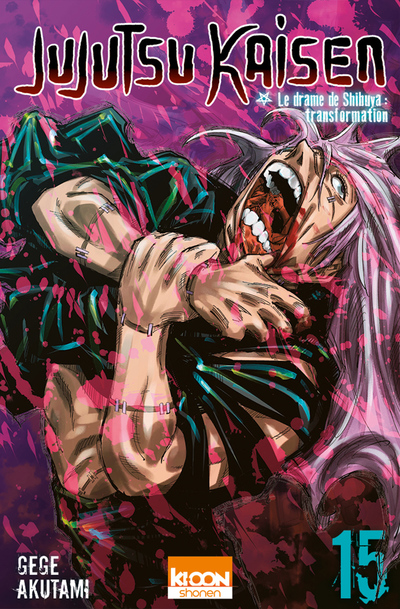 JUJUTSU KAISEN - tome 15