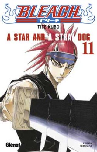 Bleach - Tome 11