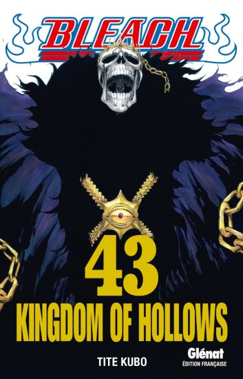 Bleach - Tome 43