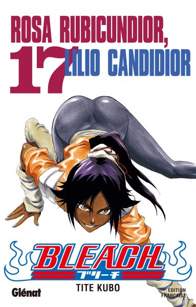 Bleach - Tome 17