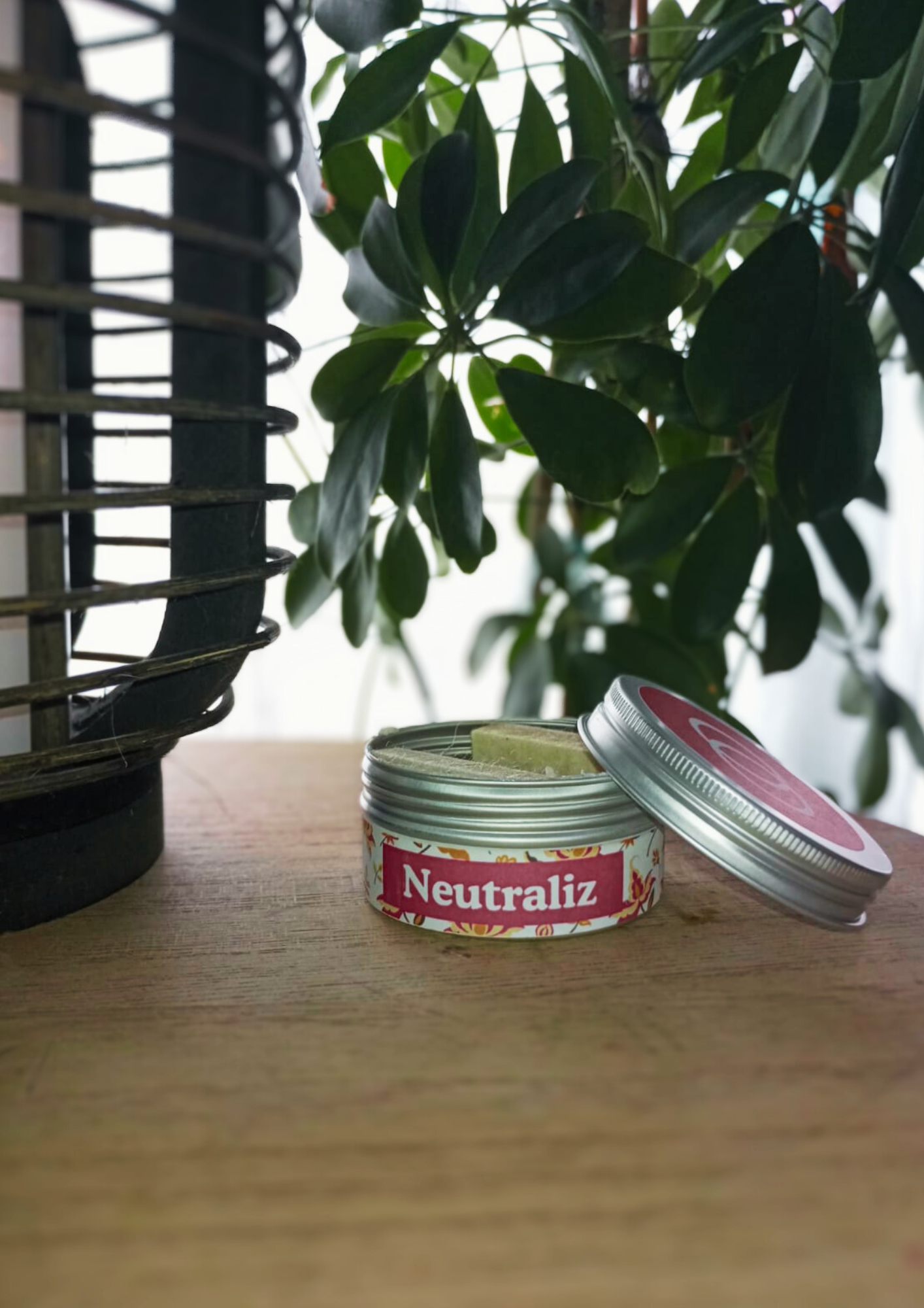 Violet Neutraliz