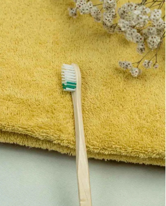 Brosse à dents adulte