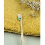 Brosse à dents adulte