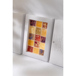 coffret eclosion fleurs de chocolat
