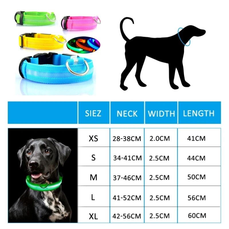 Collier-lumineux-LED-anti-perte-pour-chien-fournitures-pour-animaux-de-compagnie-chargeur-USB-batterie-PupMED