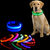 Collier-lumineux-LED-anti-perte-pour-chien-fournitures-pour-animaux-de-compagnie-chargeur-USB-batterie-PupMED