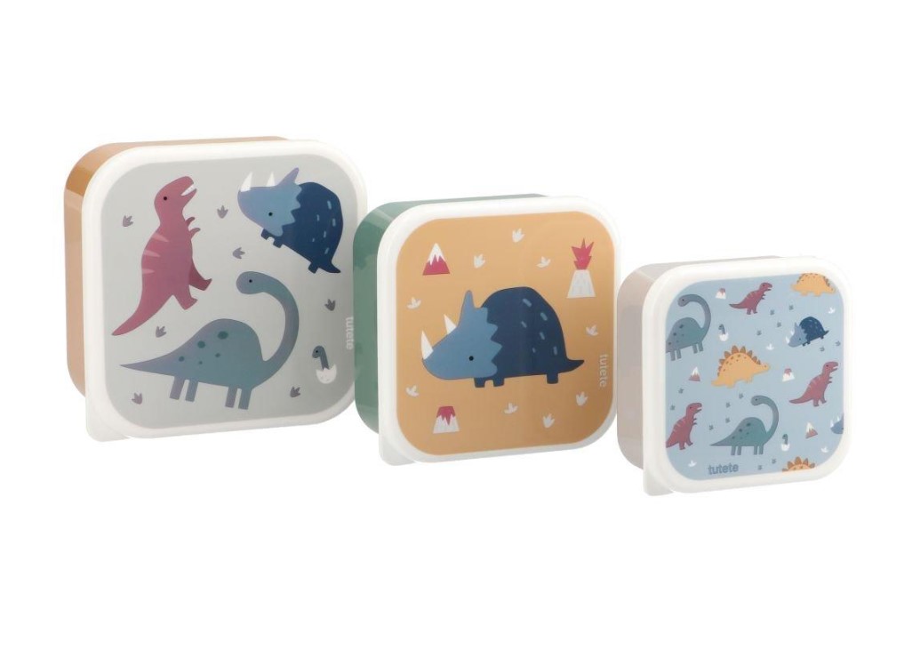 3 boite dinosaure
