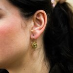 IMG_5448