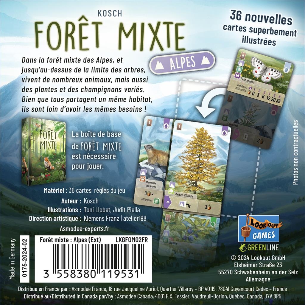 foret-mixte---alpes-p-image-92118-grande