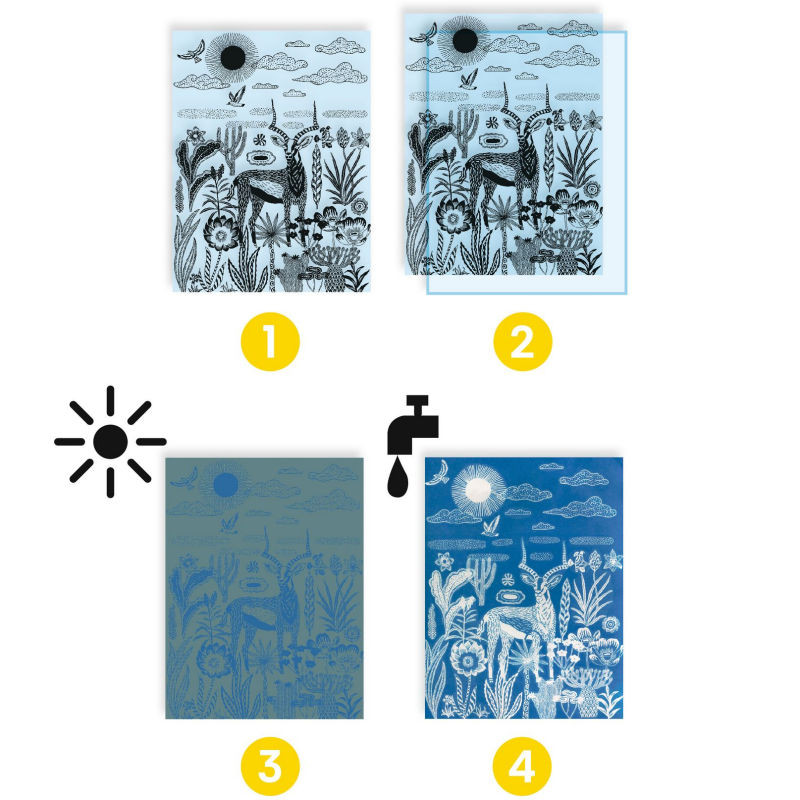 coffret-cyanotype-savane-nocturne-djeco-9343 (3)