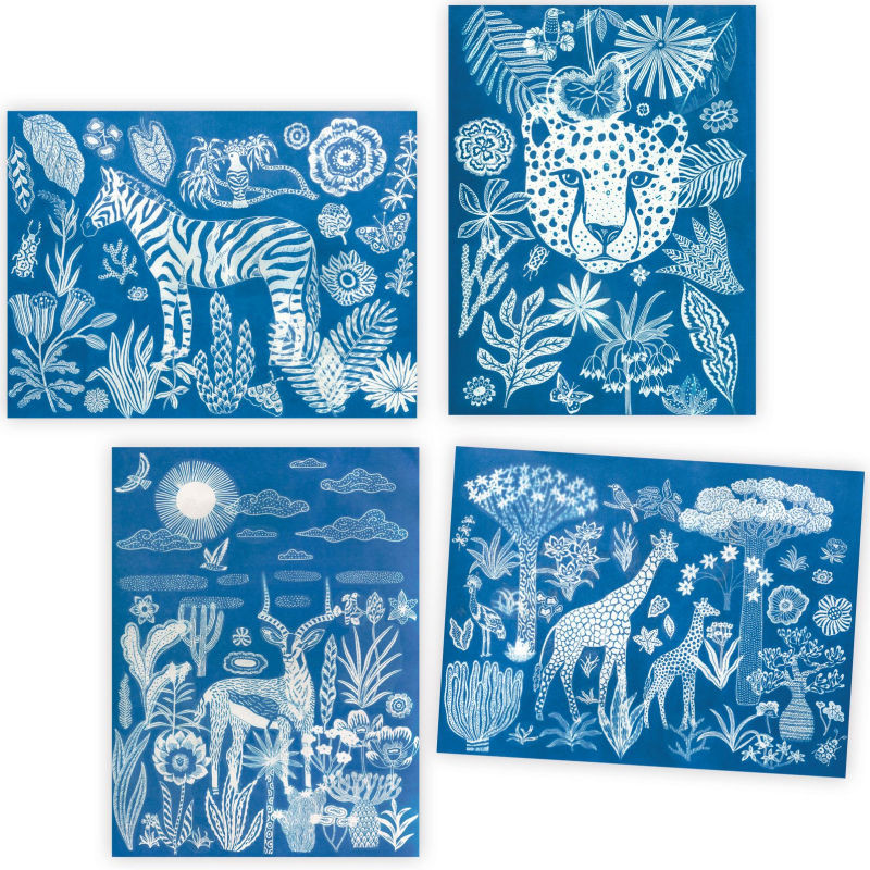 coffret-cyanotype-savane-nocturne-djeco-9343 (1)