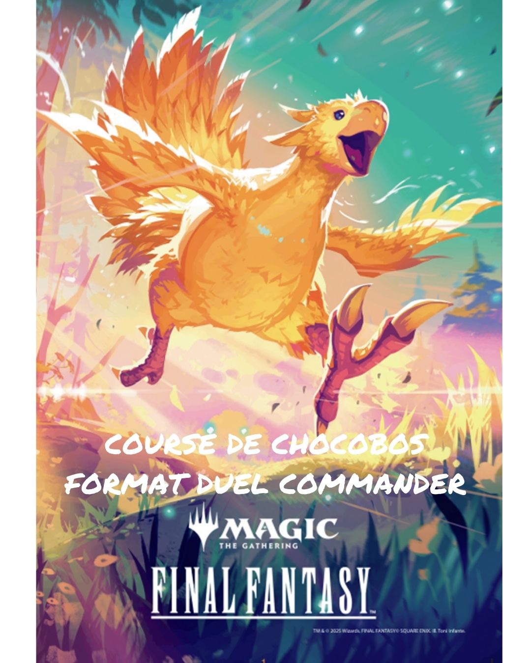 COURSE DE CHOCOBOS FORMAT DUEL COMMANDER