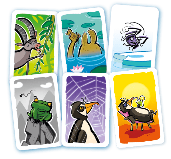 gigamic_drbmeo_3421277863919_meoute_game