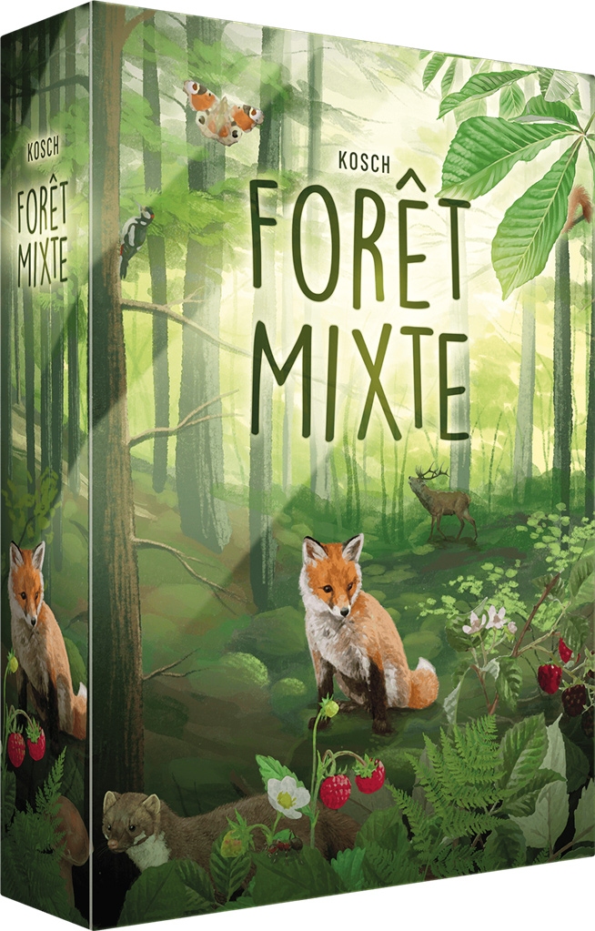 foret-mixte-p-image-88336-grande