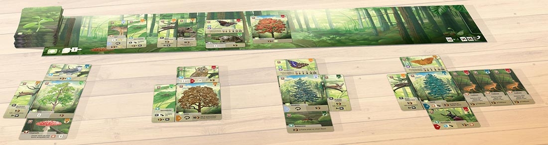 foret-mixte-p-image-89805-grande