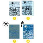 coffret-cyanotype-savane-nocturne-djeco-9343 (3)