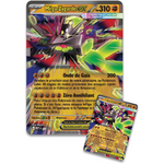 pokemon-collection-premium-megazygardeex-196214135024 (2)