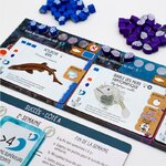 finspan-requins-recifs-fr (2)