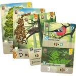 foret-mixte-p-image-88337-grande