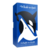whale-to-look