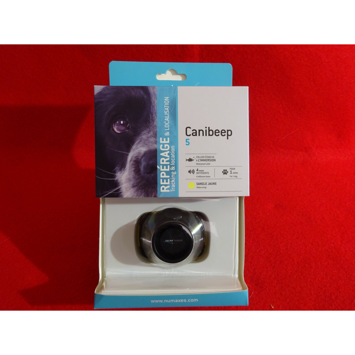 Canibeep-zoom