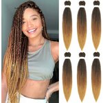 tresse1B3027