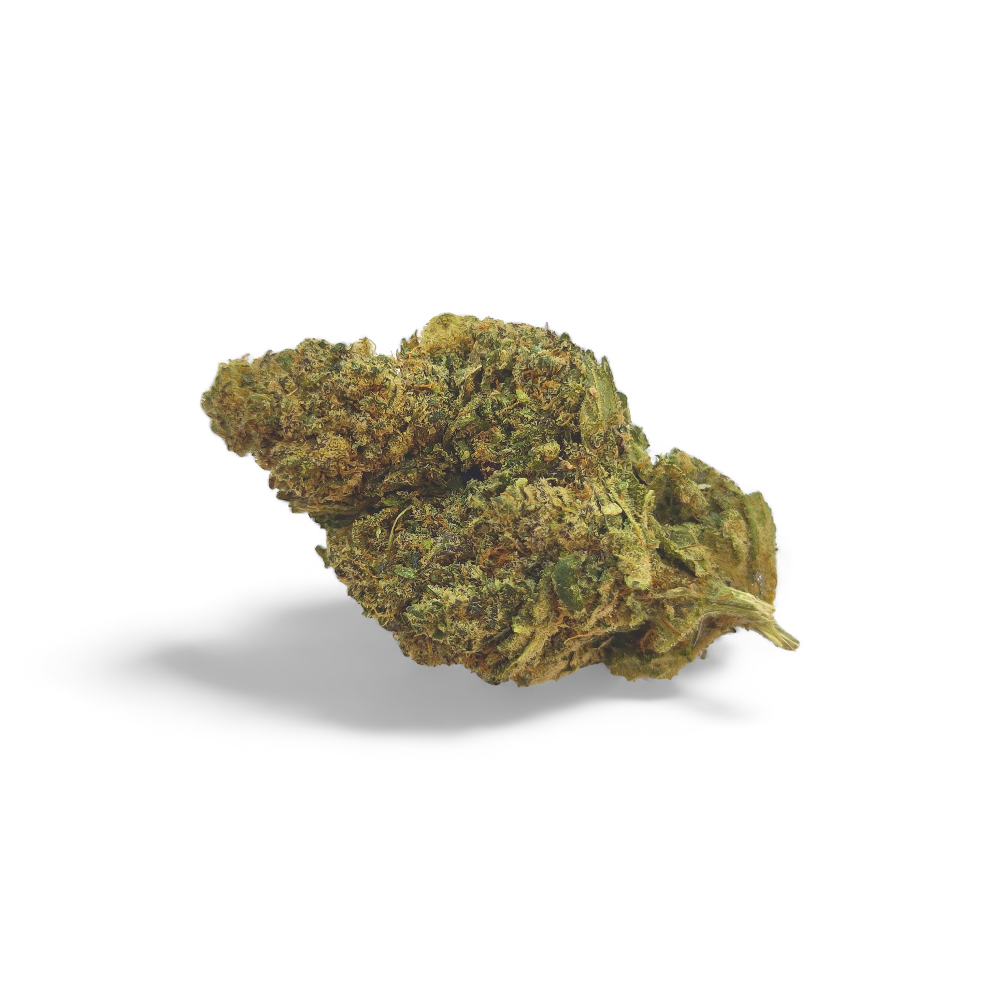 girl-scout-cookies