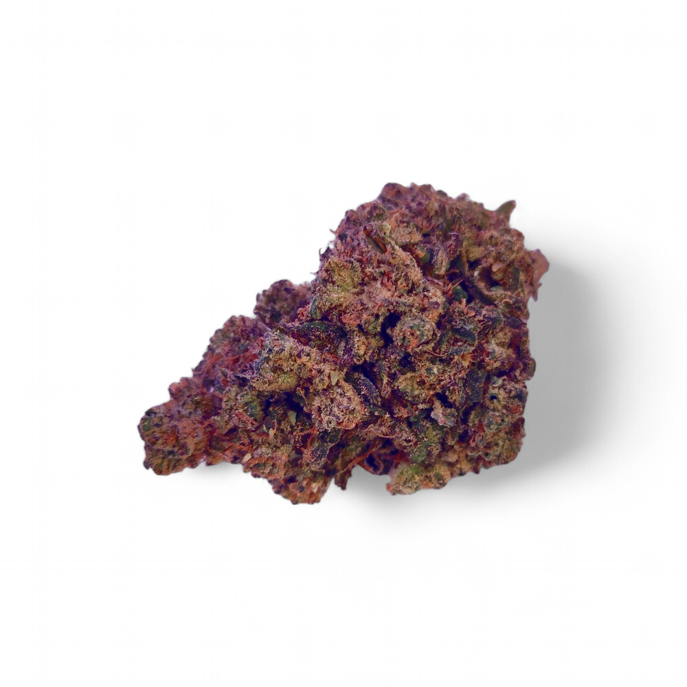 alienog2