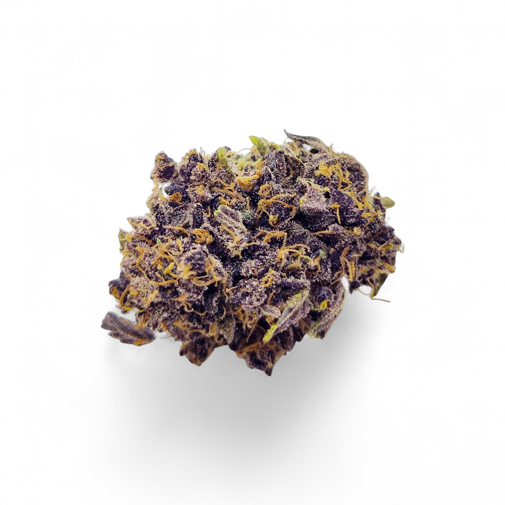 orange-fritter-32