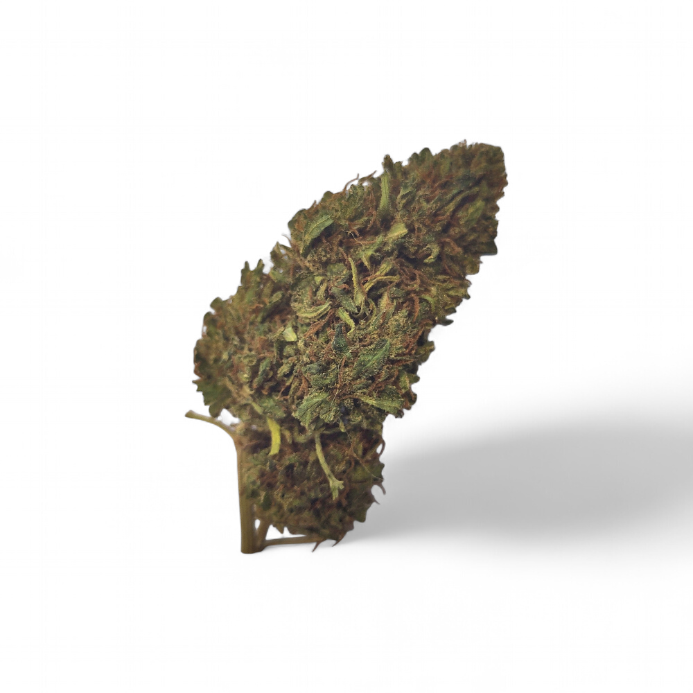 tropical-mango