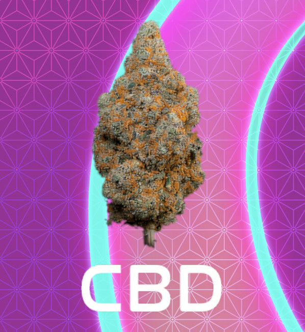 elfbar nachfüll pod läuft aus Boutique de CBD