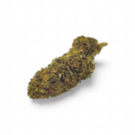 lemon-cookie2