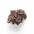 orange-fritter-32