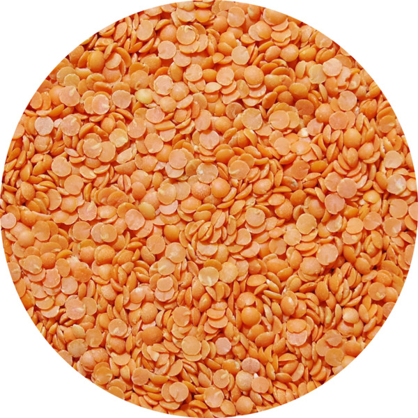 middle_square_lentille-corail-25kg-legumor_3276650039081
