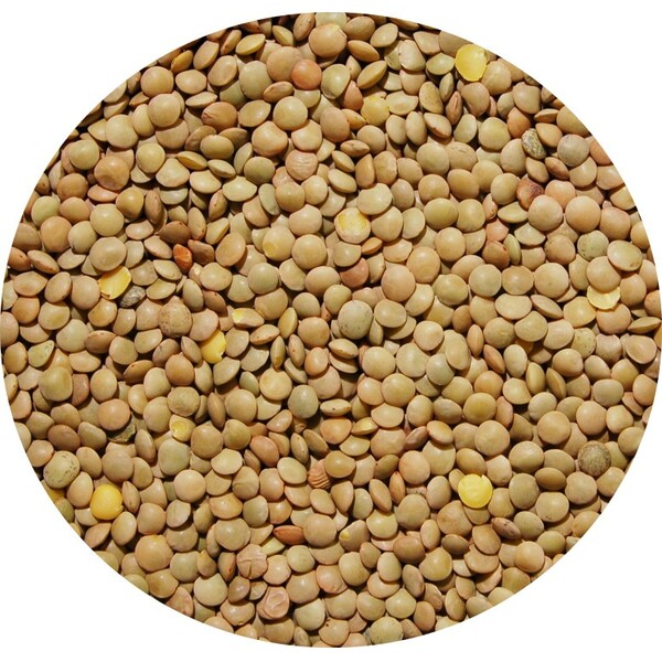 middle_square_lentilles-blondes-6mm-25-kg-legumor_3276650036080