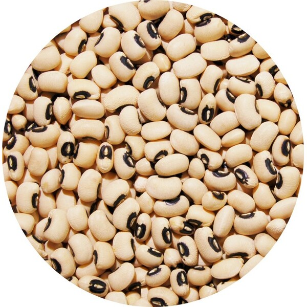 middle_square_cornilles-25-kg-legumor_3276650028085