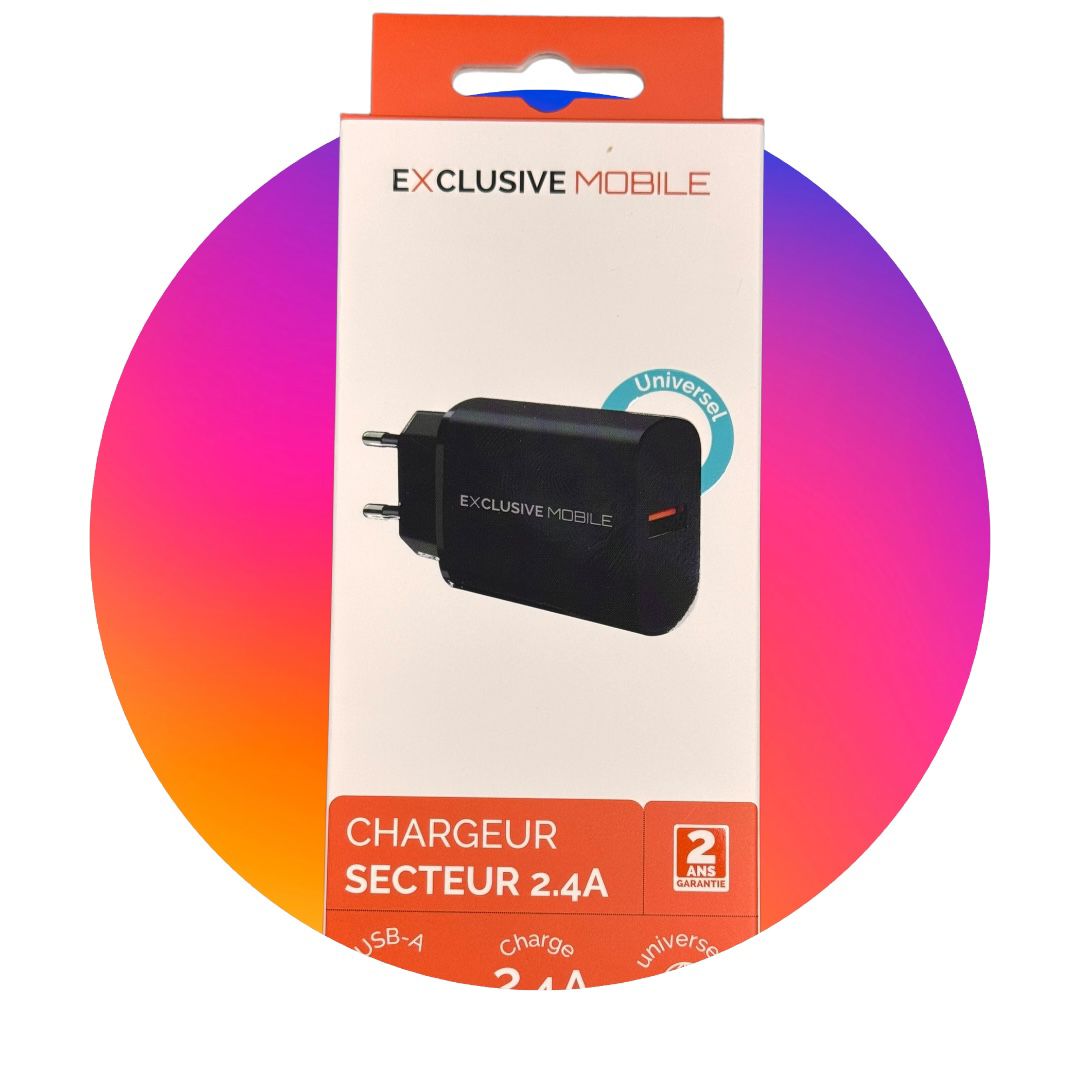 Chargeur Secteur Universel 2.4A