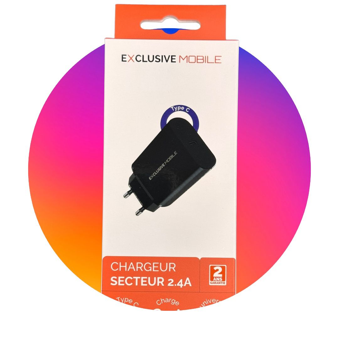 Chargeur Secteur Simple Type C 2.4A