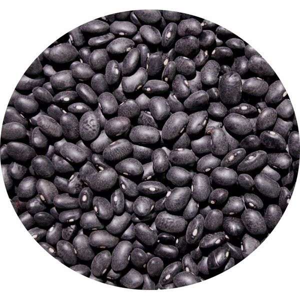 middle_square_haricots-noirs-type-coco-25-kg-legumor_3276650028184