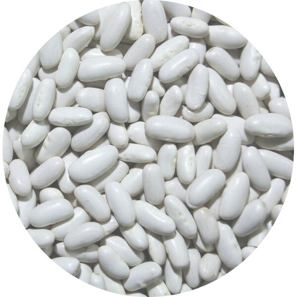middle_square_lingots-25-kg-legumor_3276650021086