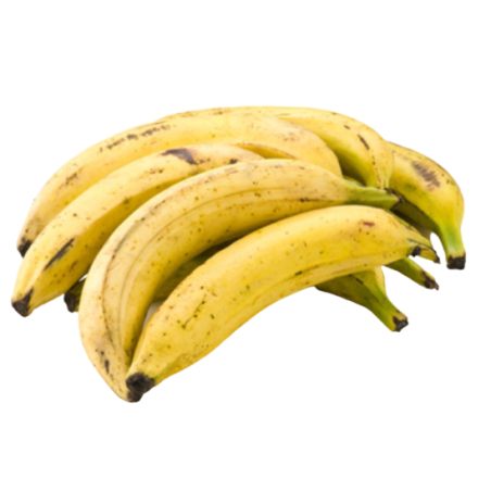 Plantain tournant jaune 1kg