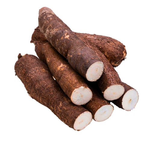 manioc