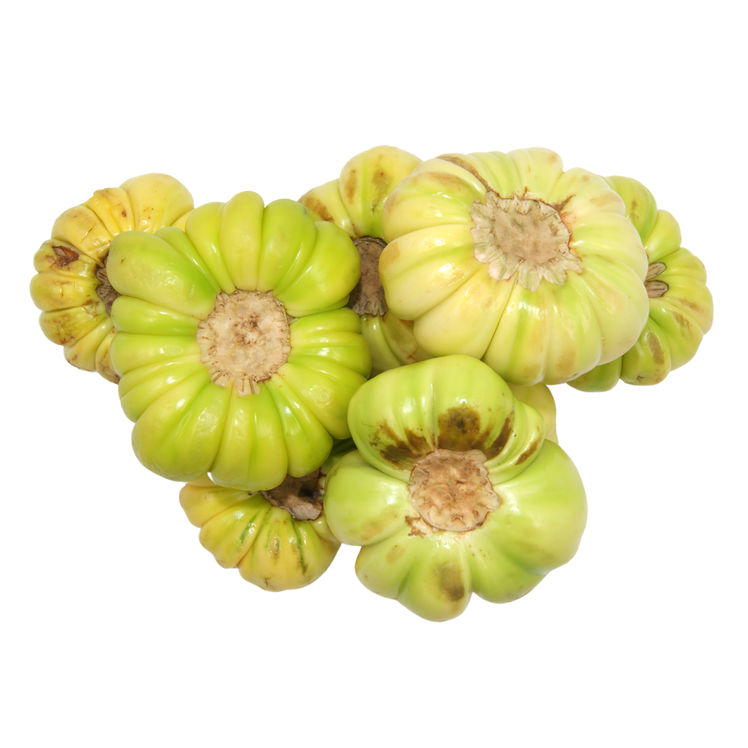 djakatou