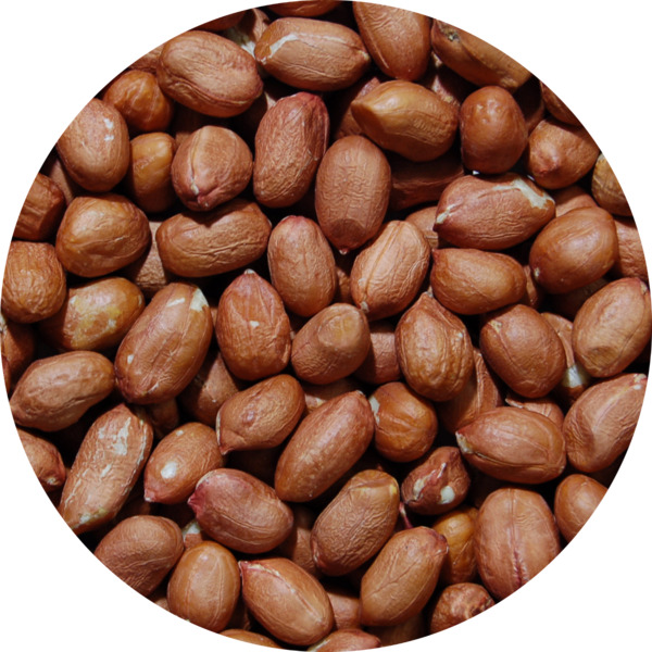 middle_square_arachides-crues-decortiquees-35-40-25-kg-profruit_3276650120680