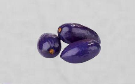 safou-fruit-fond-gris