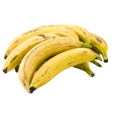 plantain-tournante-227-kg